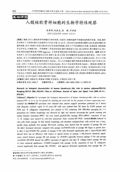 人髓核软骨样细胞的生物学特性观察