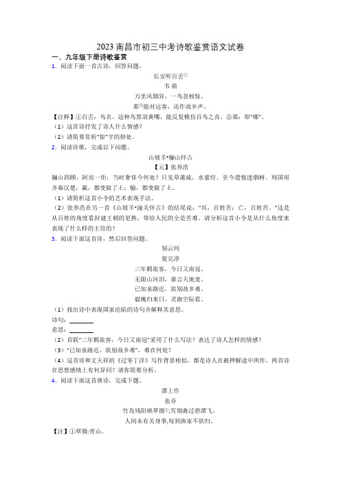 2023南昌市初三中考诗歌鉴赏语文试卷