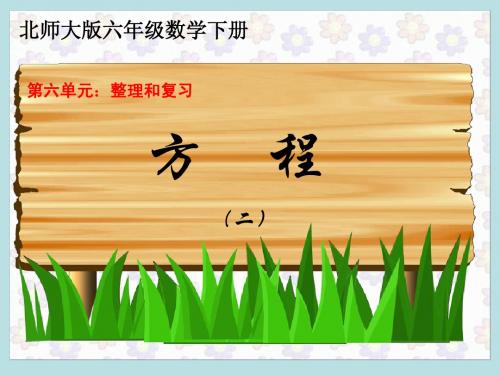 2012年六下数学《毕业总复习--方程2》课件(15)