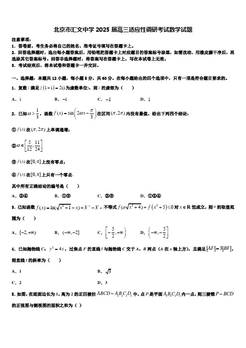 北京市汇文中学2025届高三适应性调研考试数学试题含解析