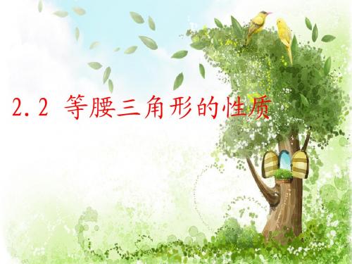 等腰三角形的性质