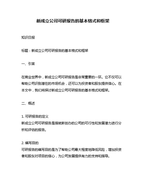 新成立公司可研报告的基本格式和框架