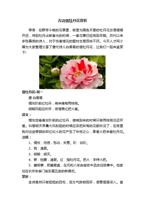 古诗惜牡丹花赏析