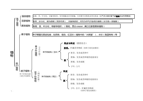 生物圈中的绿色植物思维导图