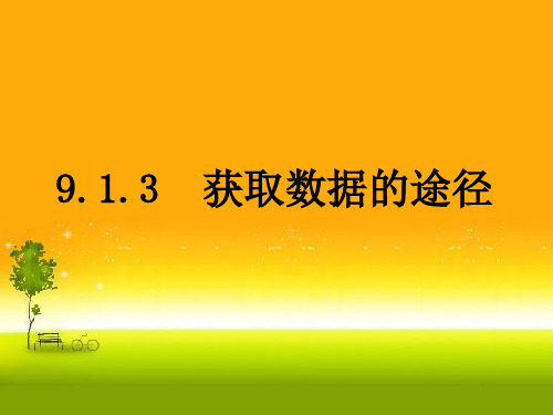 9.1.3获取数据的途径课件(人教版)