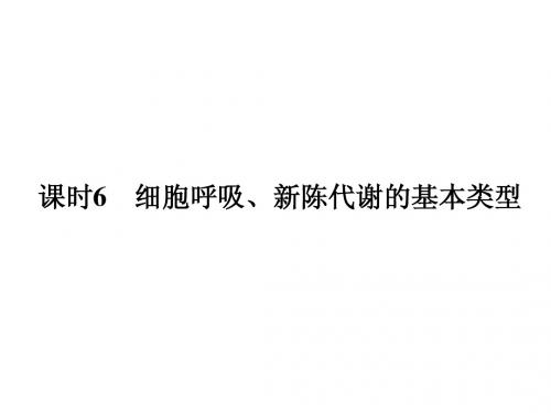 细胞呼吸、新陈代谢的基本类型