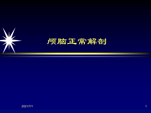 颅脑基本解剖