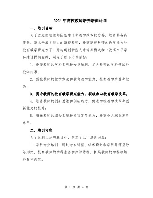 2024年高校教师培养培训计划