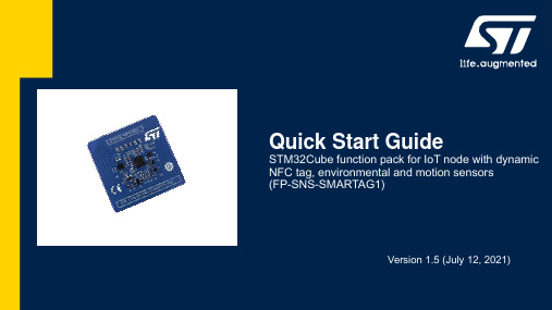 STM32Cube函数包快速入门指南说明书