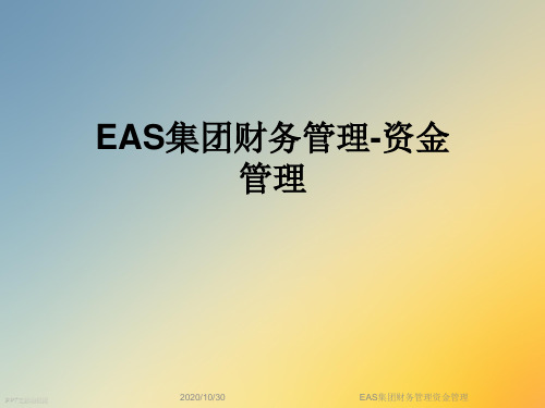 EAS集团财务管理资金管理