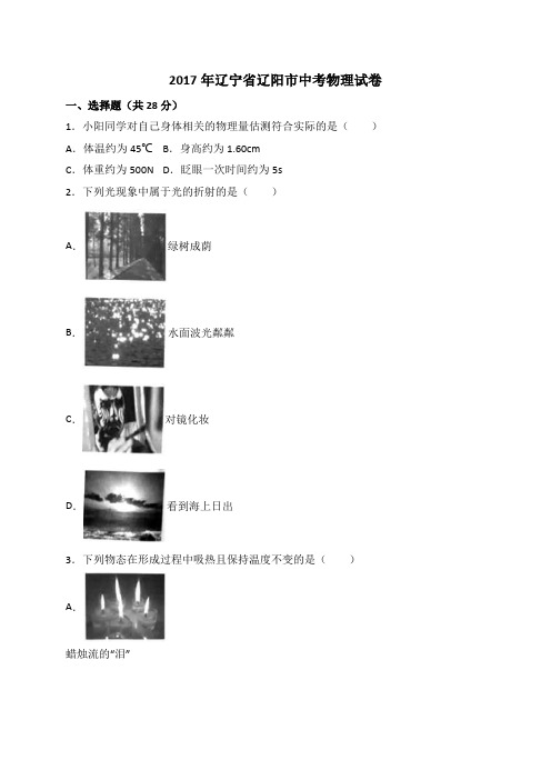 辽宁省辽阳市2017中考物理试题含答案解析(真题)