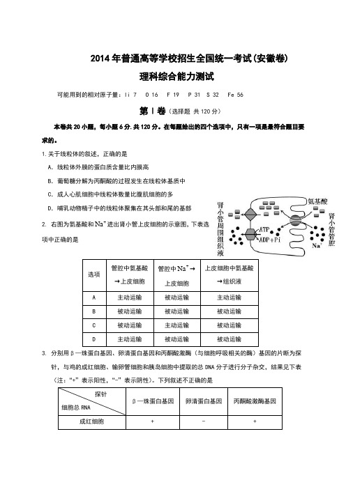 2014年全国高考理综试题及答案-安徽卷