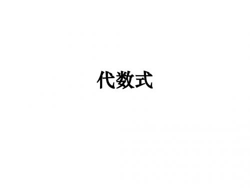 七年级数学上册代数式复习(北师大版)