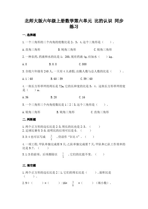 北师大版六年级上册数学第六单元 比的认识 同步练习(含答案)