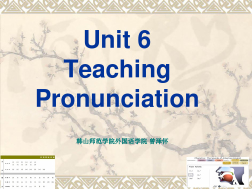 Unit 6 Teaching Pronunciation 英语语音教学法