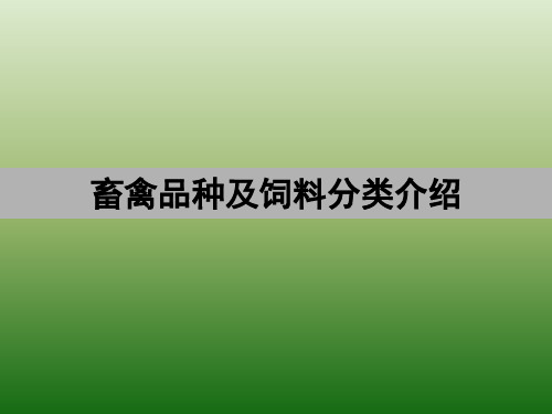 畜禽品种及饲料分类介绍