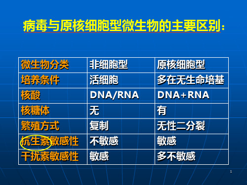 病毒学PPT课件