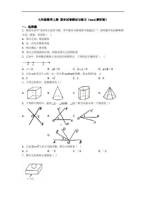 七年级数学上册 期末试卷测试与练习(word解析版)