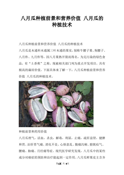 八月瓜种植前景和营养价值 八月瓜的种植技术