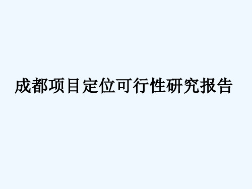 项目定位可行性研究报告