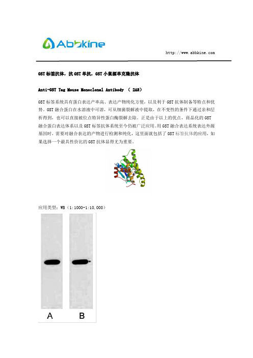 GST标签抗体,抗GST单抗,GST小鼠源单克隆抗体