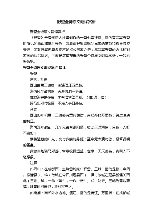 野望全诗原文翻译赏析