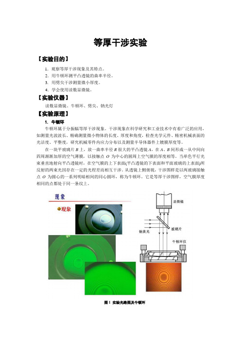 等厚干涉实验1