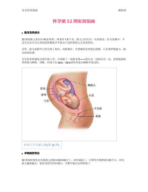 怀孕第32周发育指南