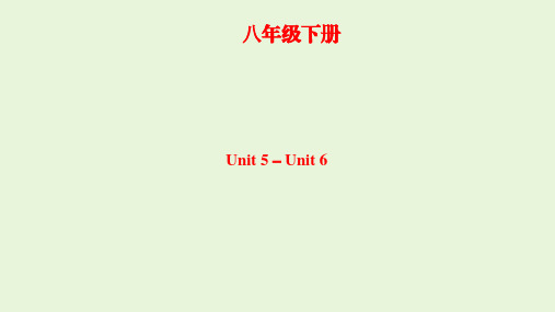 2021年人教版英语中考复习课件  八年级下册    Unit 5-Unit 6