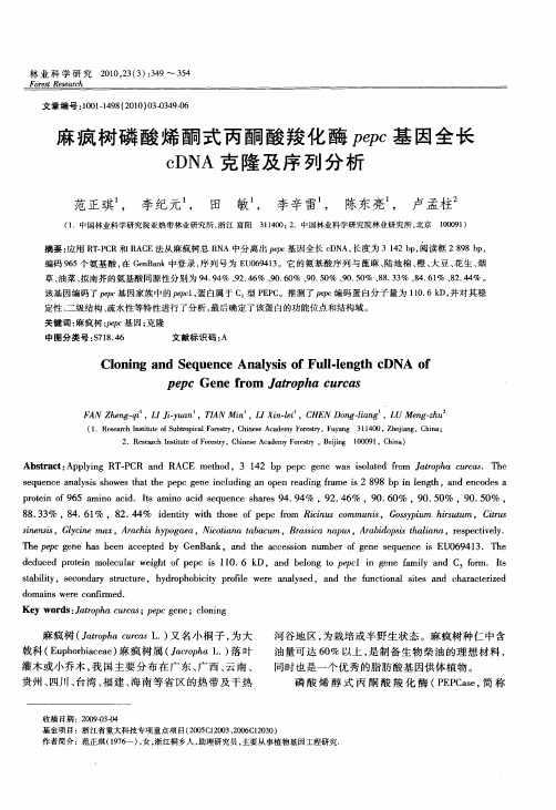 麻疯树磷酸烯酮式丙酮酸羧化酶pepc基因全长cDNA克隆及序列分析