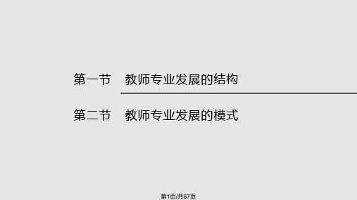 教师专业发展的结构与模式