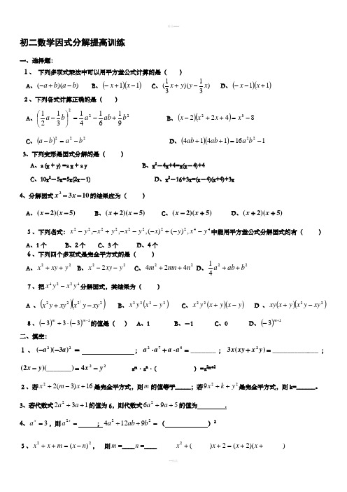 初二数学因式分解提高训练