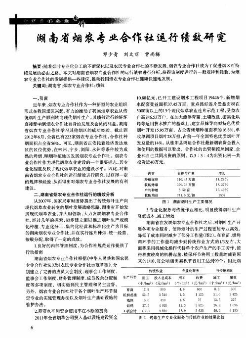 湖南省烟农专业合作社运行绩效研究