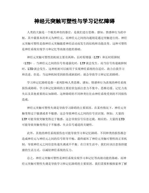 神经元突触可塑性与学习记忆障碍