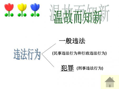 七年级政治法律雷池不可越