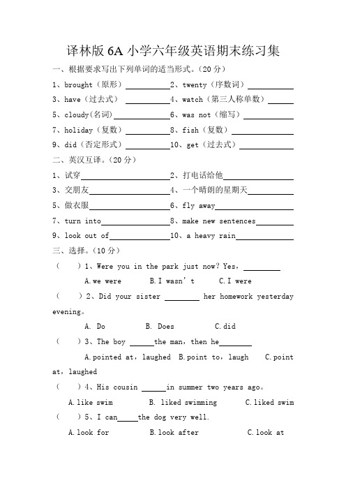 译林版6A小学六年级英语期末练习