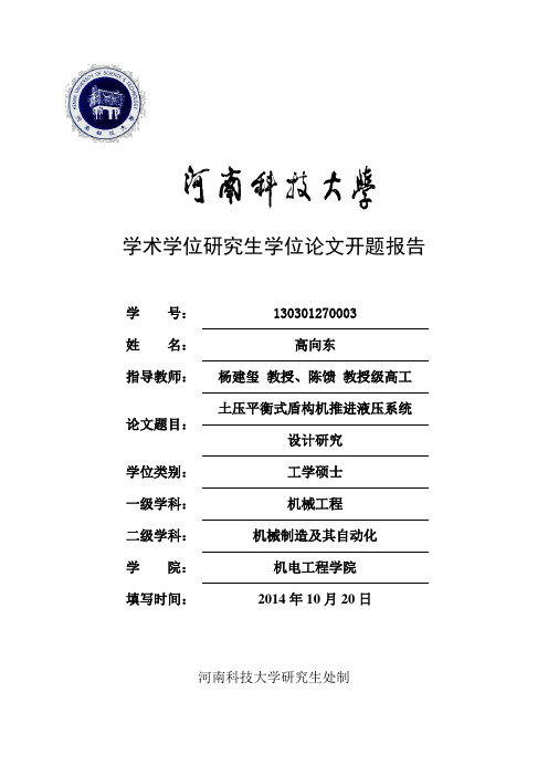 高向东开题报告修订版