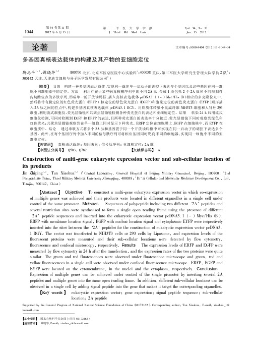 多基因真核表达载体的构建及其产物的亚细胞定位