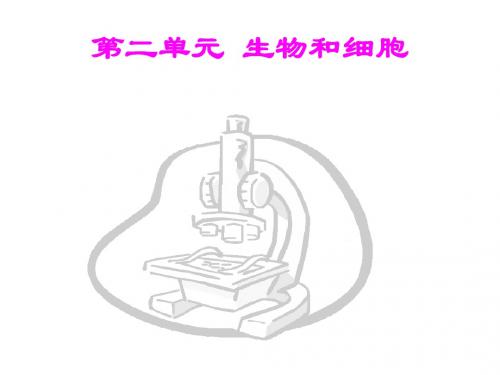 第二单元 生物和细胞中考复习