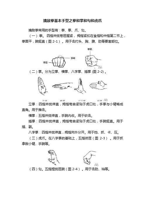 擒敌拳基本手型之拳和掌和勾和虎爪