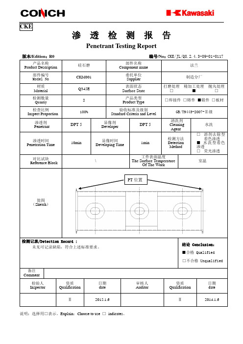 PT报告