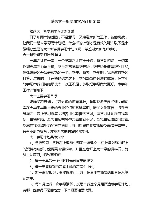 精选大一新学期学习计划3篇