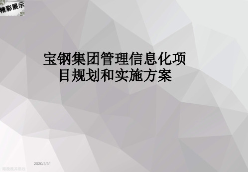 宝钢集团管理信息化项目规划和实施方案