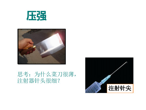 沪教物理九年级上册第6章 6.2 压强