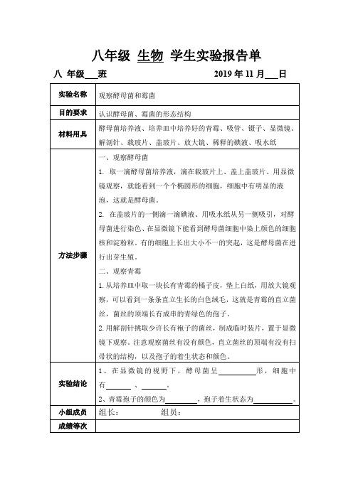 观察酵母菌和霉菌  实验报告单