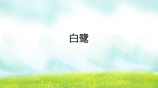 第1课《白鹭》课件-统编版语文五年级上册