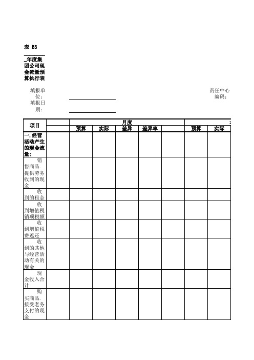 现金流量预算执行表.xls