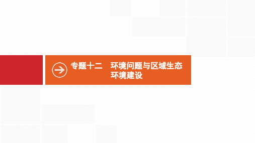 2021版高考全国中图版地理专题十二 环境问题与区域生态环境建设(共17张PPT)