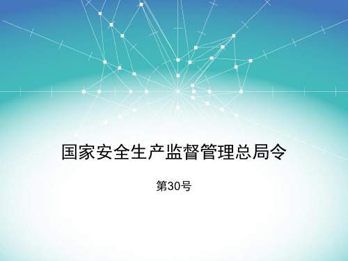 国家安全生产监督管理总局令30号