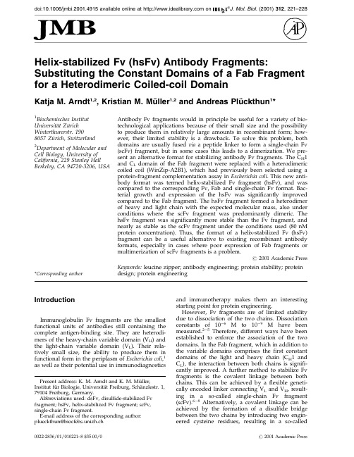 Helix-stabilized Fv (hsFv) antibody fragments substituting the constant domains of a Fab fr